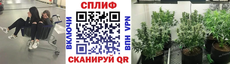 Шишки марихуана LSD WEED Кропоткин