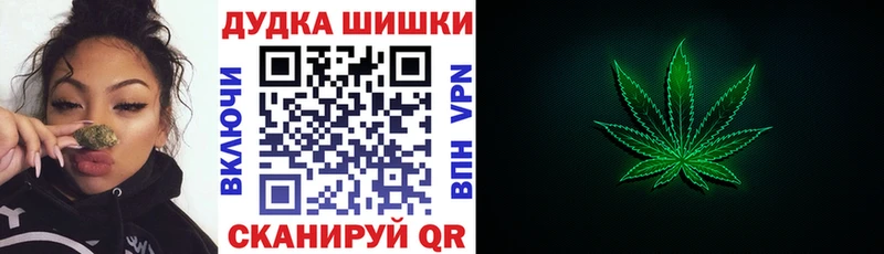 Бошки Шишки сатива  Купить закладки  Кропоткин 